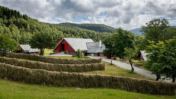 Bilde 2 av 3 i jobbannonse-galleriet