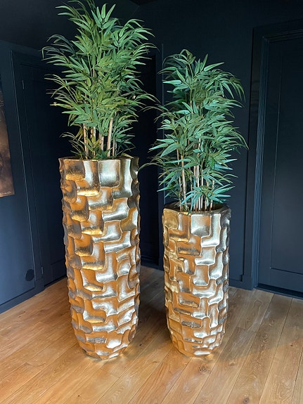 Product image 1 of 10