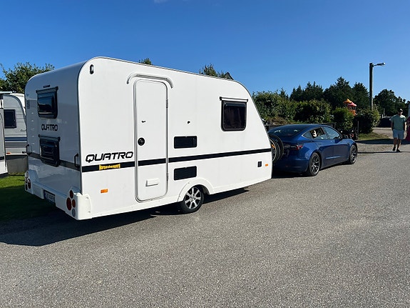 Norgeshengern Quattro 16 of 22