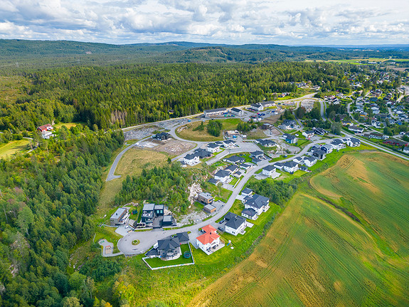 Foto av feltet fra nord-vest. Foto august 2023.