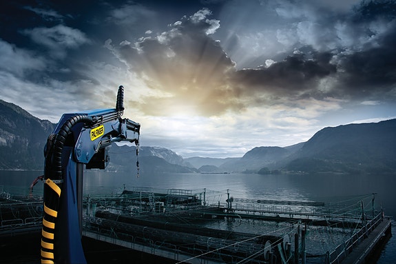 Bilde 5 av 6 i jobbannonse-galleriet