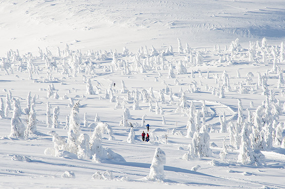 Langrenn i Trysil, foto Ola Matsson