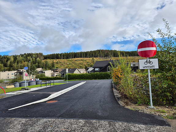 Nylig etablert bussholdeplass rett nedenfor boligen