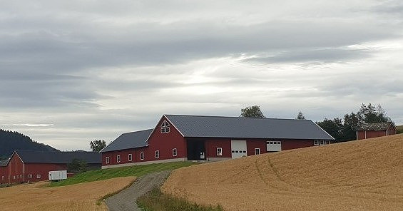 Bilde 3 av 3 i jobbannonse-galleriet