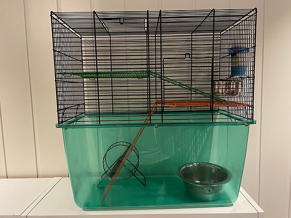 Product image 1 of 7