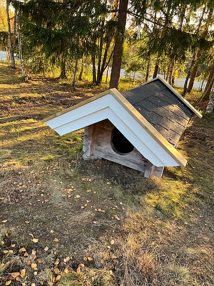 Product image 1 of 6