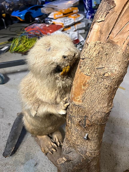 Product image 1 of 10