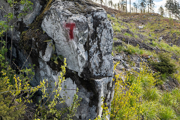 Flotte turstier i umiddelbar nærhet