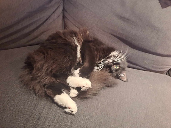 Product image 9 of 10