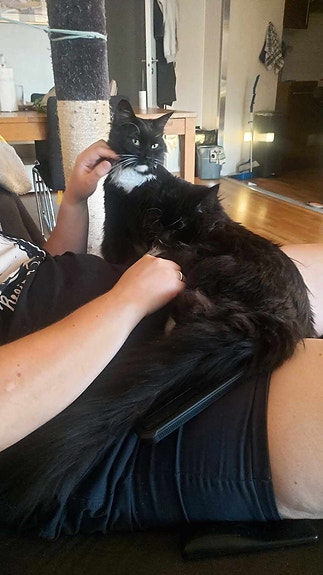 Product image 7 of 10