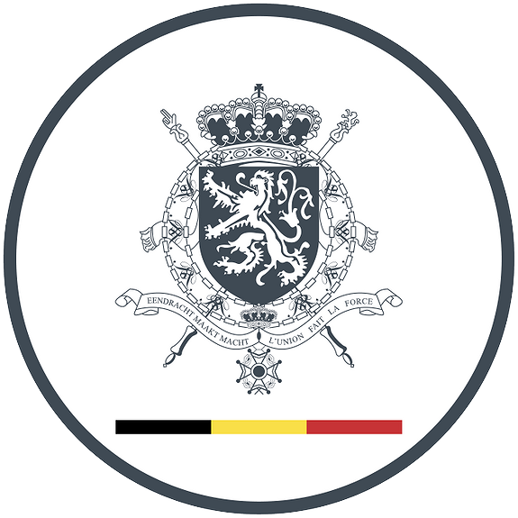 The Embassy of Belgium in Norway and Iceland logo