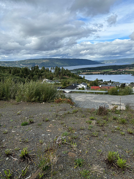 Utsikt fra tomt 10