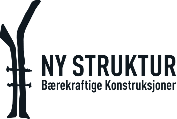 NY STRUKTUR AS logo