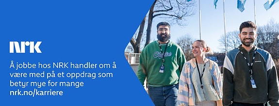 Bilde fra arbeidsgiver