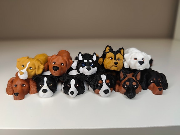 Product image 1 of 10