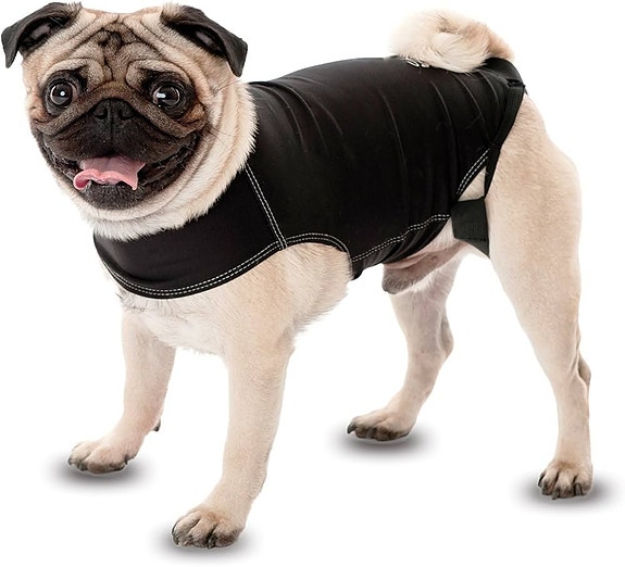 Product image 1 of 10
