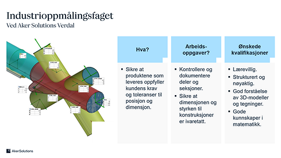 Bilde 6 av 12 i jobbannonse-galleriet