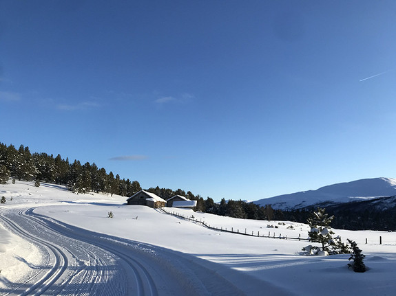 Megardsåsen. Foto: Roar Strand