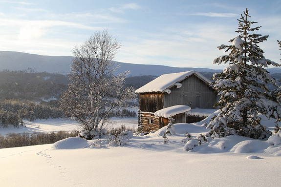 Megardsåsen. Foto: Roar Strand