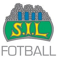 Storhamar IL Fotball logo