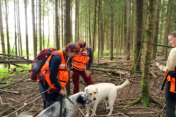 MiS-registrering pågår