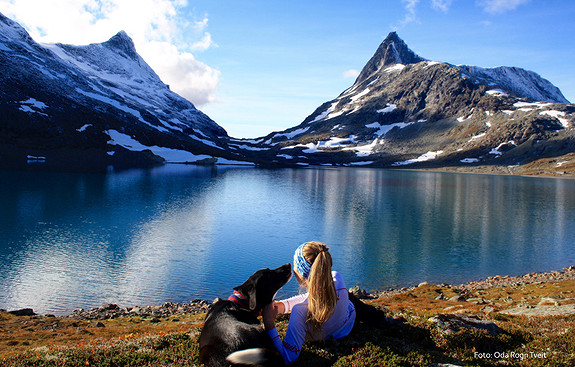 Er du glad i å gå på ski, jakte eller utforske fjellet? Da er Valdres – med sin ville og vakre natur – det perfekte stedet både å bo og jobbe. Her kan du kombinere befaringer med en fantastisk fjelltur! Bildet tatt av Oda Rogn Tveit.