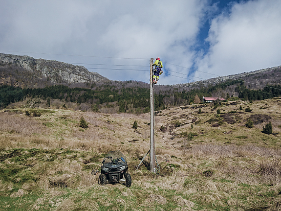 Bilde 2 av 2 i jobbannonse-galleriet