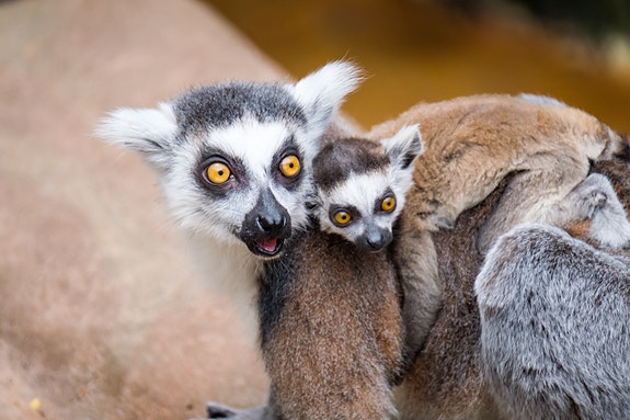 Bilde 8 av 11 i jobbannonse-galleriet