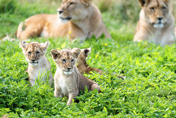 Bilde 9 av 11 i jobbannonse-galleriet