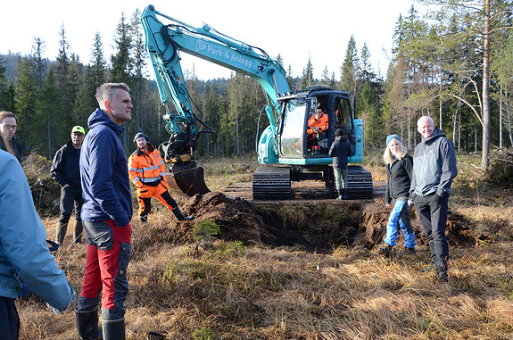 Bilde 4 av 5 i jobbannonse-galleriet