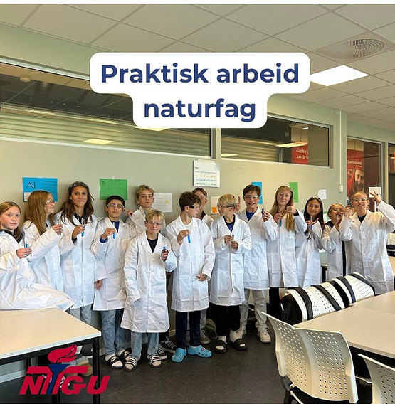 Praktisk og variert undervisning