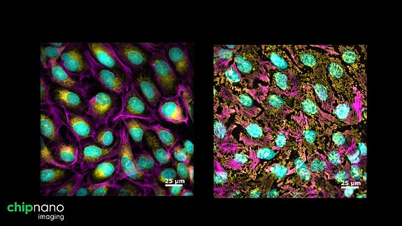 Bilde 3 av 3 i jobbannonse-galleriet