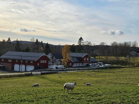 Barnehagen sett fra jordet