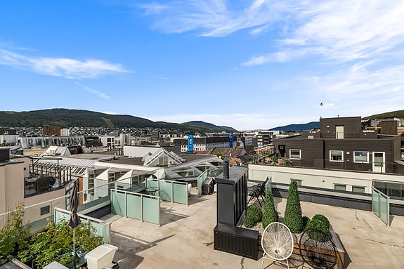 Felles takterrasse