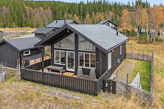 Velkommen til Rømåsen 1907!