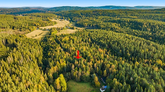 Velkommen til Bjørndalen!