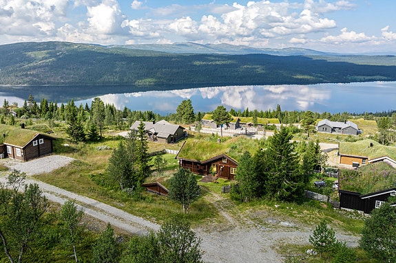 Velkommen til Toppagrenda 119!