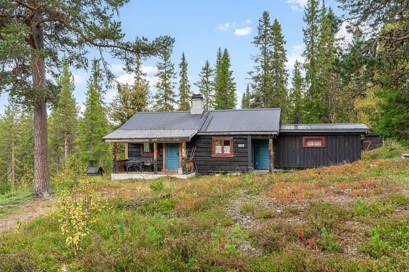 Eiendomsmegler 1 v/Unni Rolstad presenterer Gålåvegen 1022!