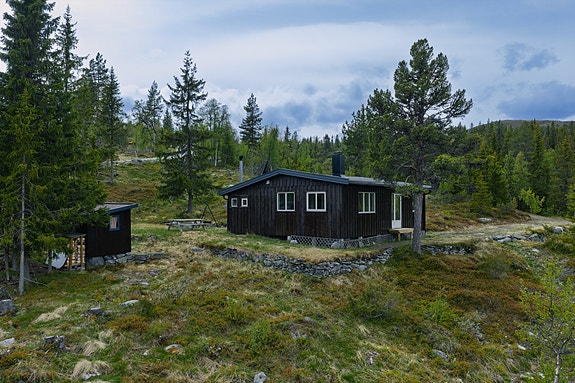 Velkommen til Brynhildstølvegen 86 på Fekjan!