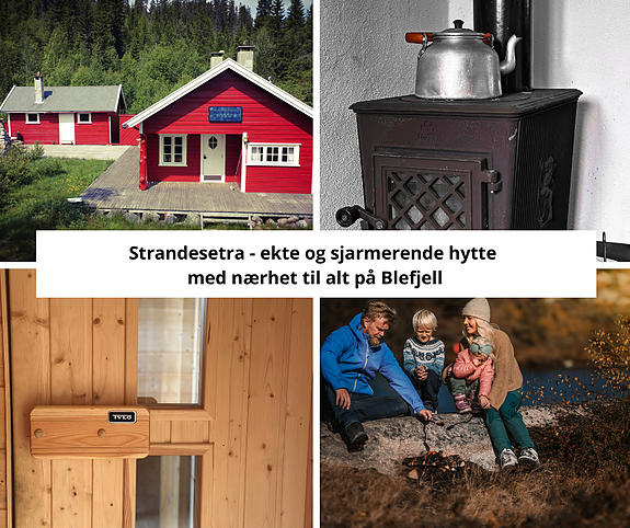 En enkel og sjarmerende hytte midt i naturen – perfekt for deg som søker ro, stillhet og ekte hyttefølelse. Tømmervegger, vedfyring og nærhet til skog og vann gir en nostalgisk atmosfære. Her finner du fred og enkelhet, langt fra hverdagens mas