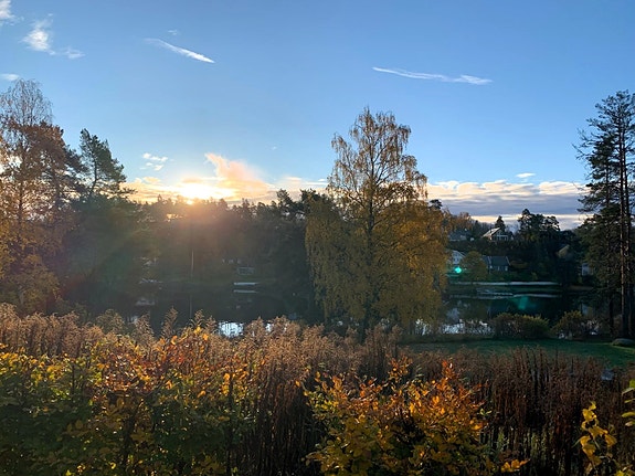 Ubebygd boligtomt med fanastisk beliggenhet ved sjøen på Nesøya