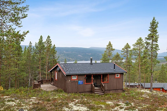 Velkommen til Rønningsåsen 389!