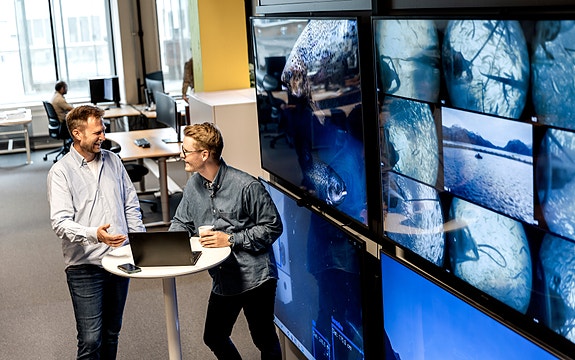 Bilde fra arbeidsgiver