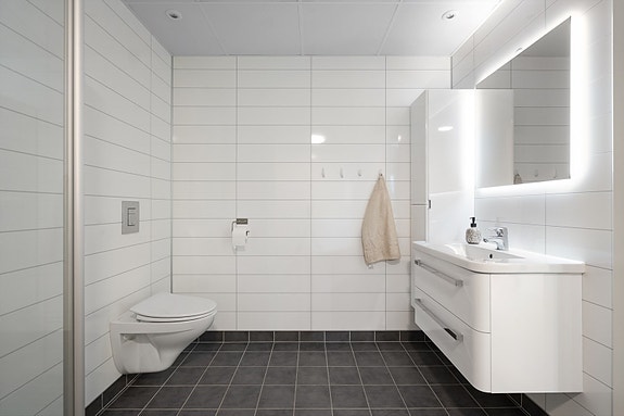 Stilrent og moderne bad med baderomsplater på vegg og mørkere fliser på gulv