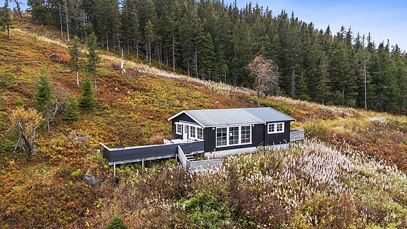 Velkommen til Lifjellvegen 774, en velholdt hytte beliggende midt i hjertet av Lifjell!