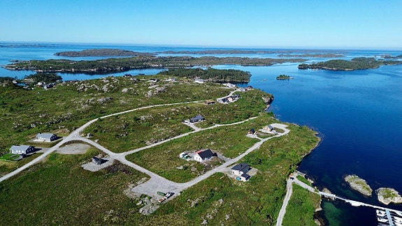 Dronebildet over hele feltet