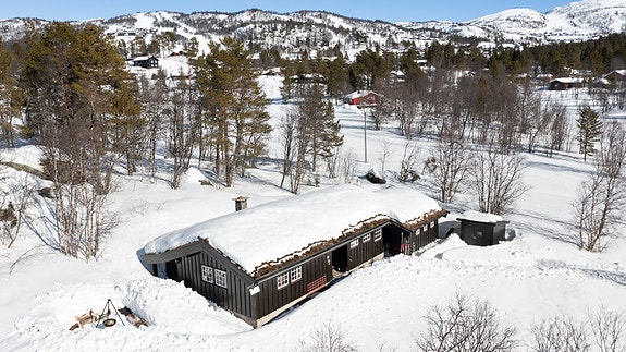 Privatmegleren har gleden av å presentere Rukkemo Aust 9 - En særdeles idyllisk og usjenert hytte rett ved skiløypa og kun 3 min til Rauland Skisenter!