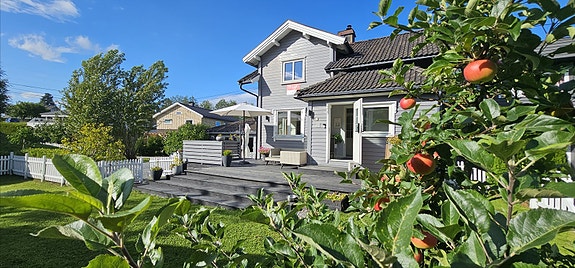 På sommeren er det flere blomstrende trær og hagen er et koselig sted å oppholde seg på fine sommerdager. Foto: Exponering Svein Michaelsen.