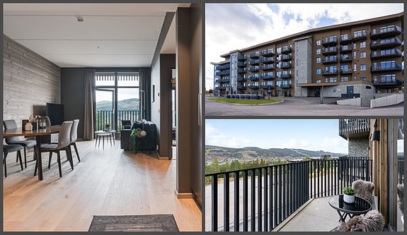 Velkommen til denne flotte leiligheten i Trysil Alpine Lodge - her bor du virkelig med ski inn/ut og den nye gondolen like ved som gir enkel start på skikjøringen.