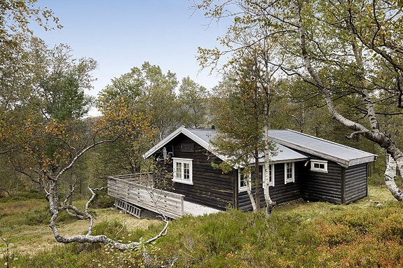 Koselig hytte med innlagt strøm! Fotograf Diakrit v/ Arne Ove Østebrøt
